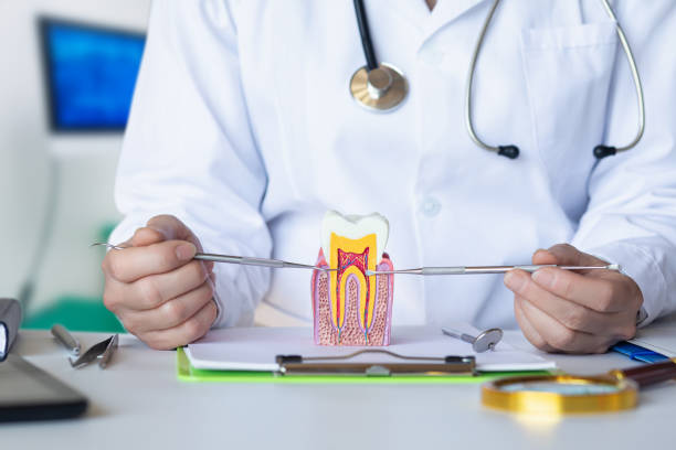 Best Emergency Tooth Extraction in Kgsford Heights, IN
